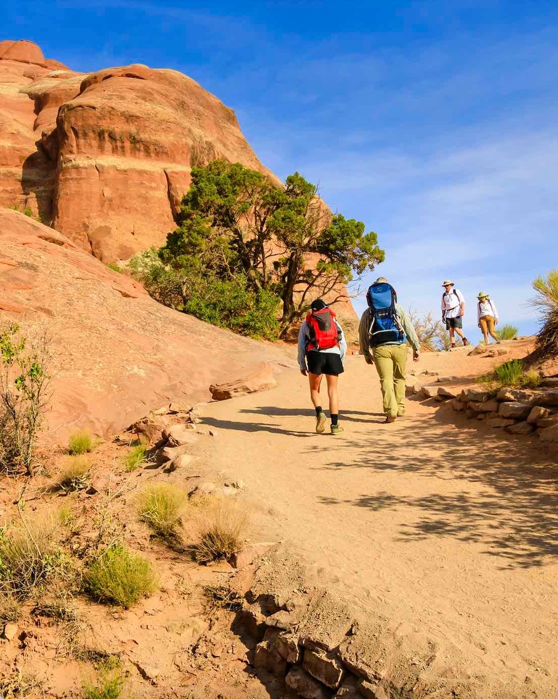 A group of hikers walking up a hill