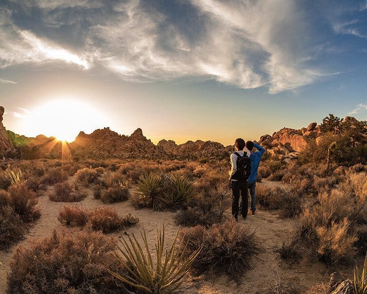 two people looking at towards the sun at Joshua Tree