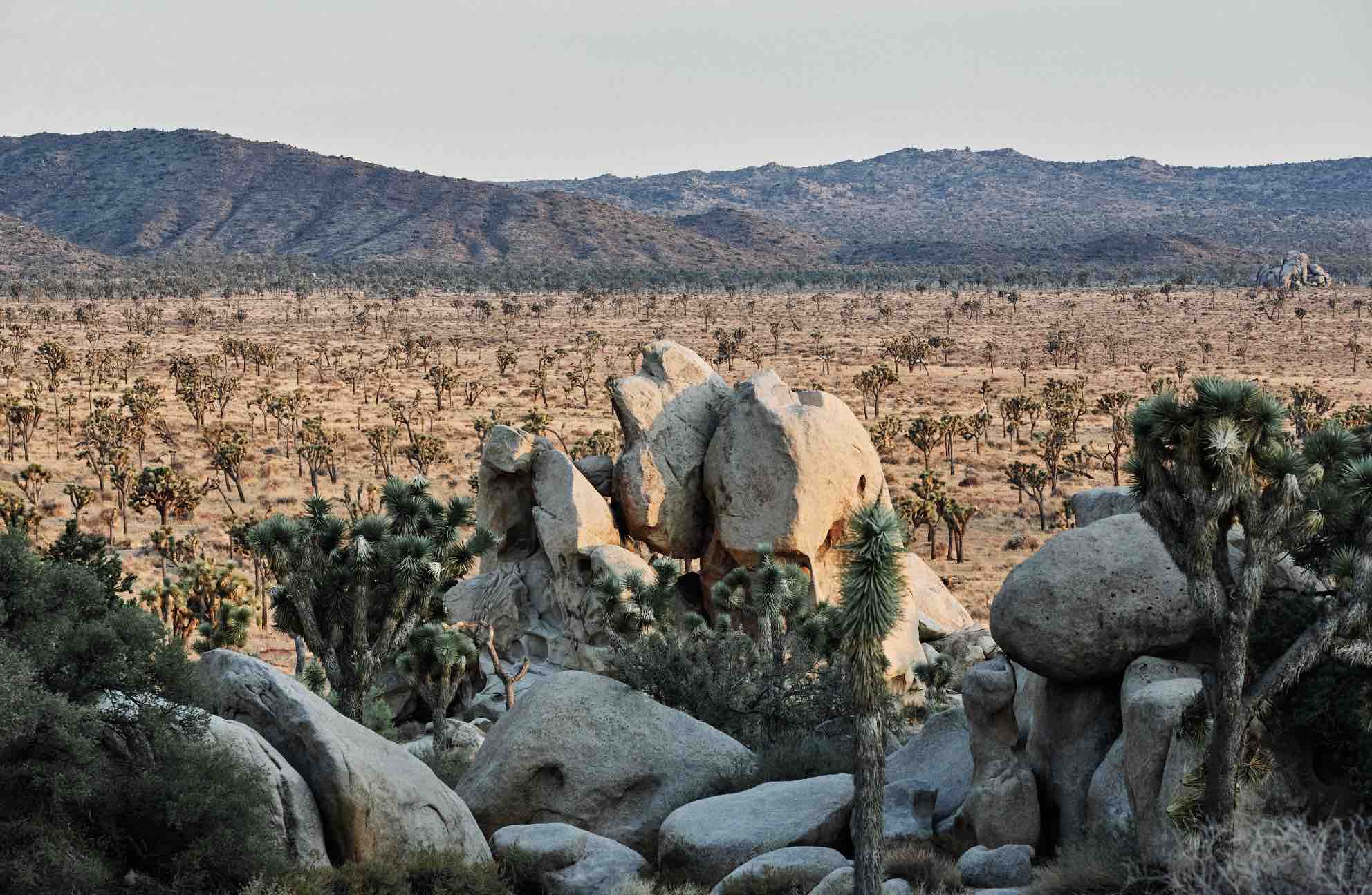 view of rocks, greenery and mountains