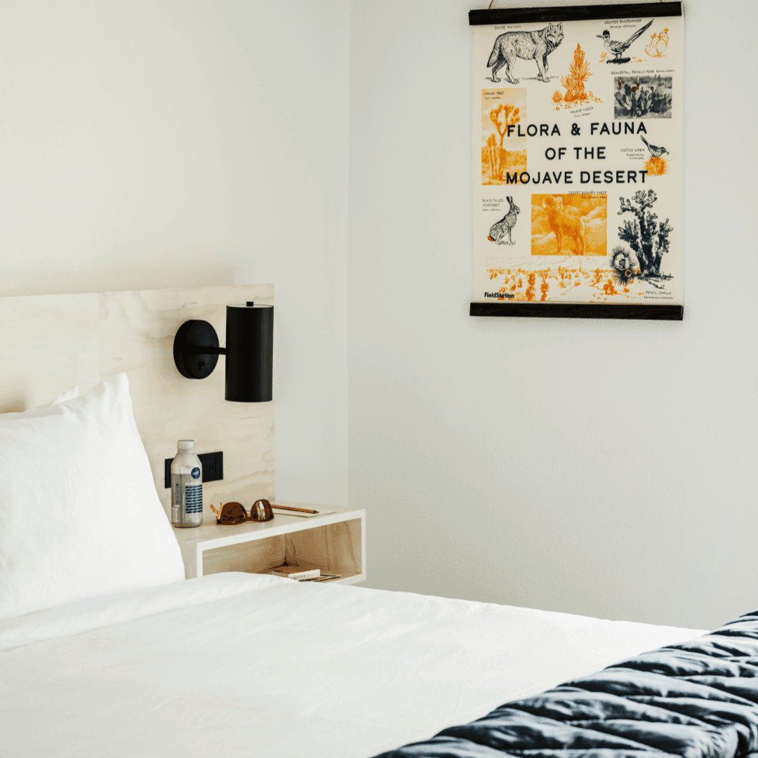 A cropped photo showing a poster that reads "Flora & Fauna of the Mojave Desert" and part of a bed and nightstand.
